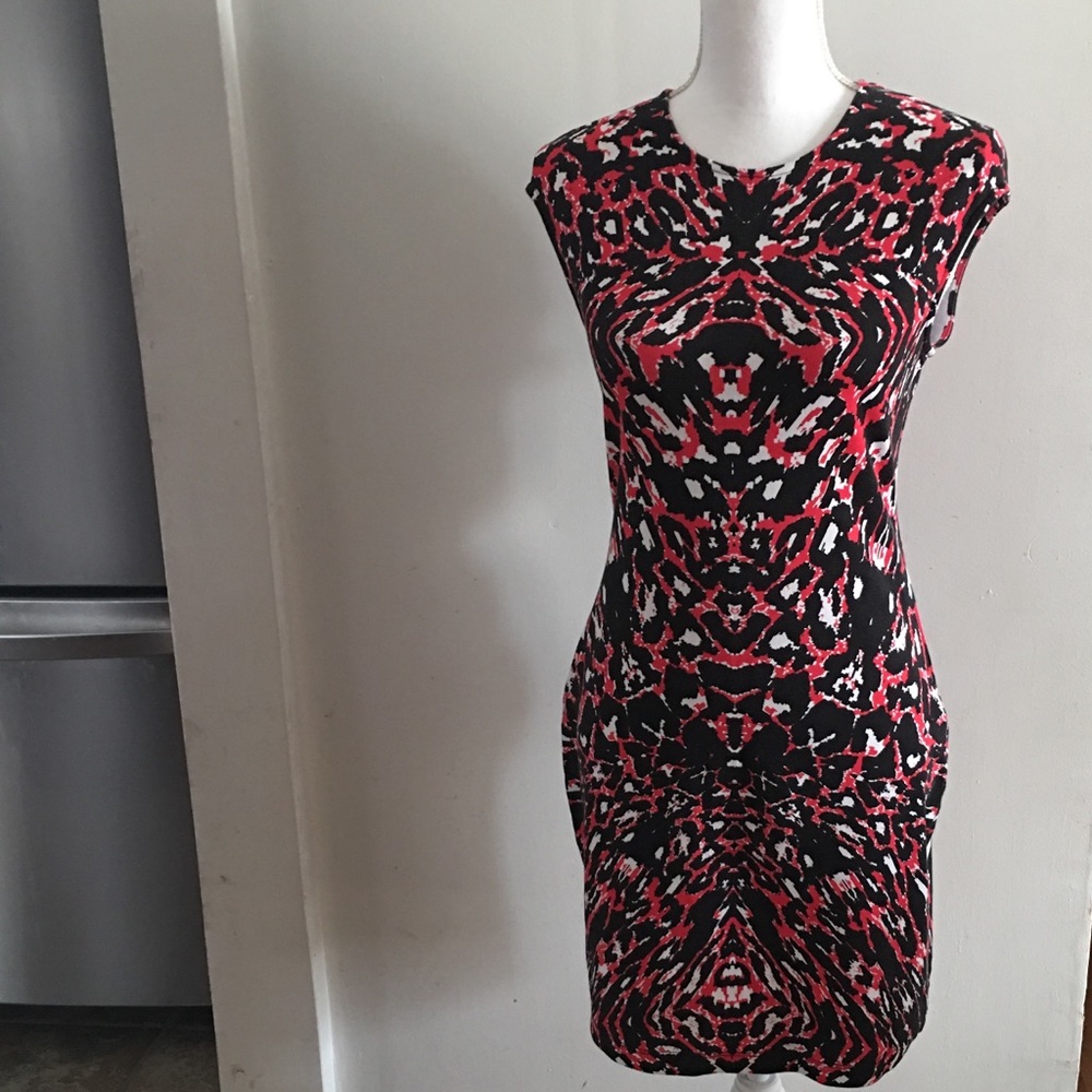 ALEXANDER McQUEEN  Dress